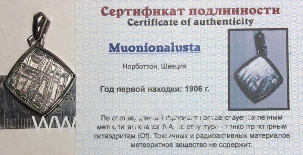 Подвеска из метеорита Муонионалуста (Muonionalusta) ромб, оправа из нержавеющей стали (арт 27)