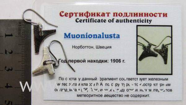 Серьги с метеоритом Муонионалуста (Muonionalusta), арт 1