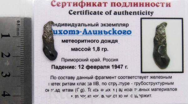 Индивидуальный экземпляр Сихотэ-Алиньского метеоритного дождя (арт 10)