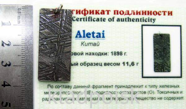 Подвеска из метеорита Aletai, арт 11