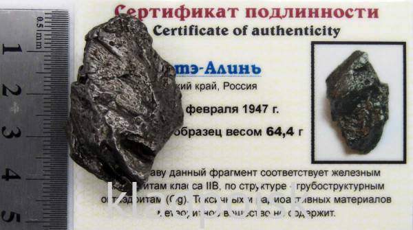 Осколок метеорита Сихотэ-Алинь арт 34