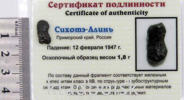 Осколок метеорита Сихотэ-Алинь арт 39