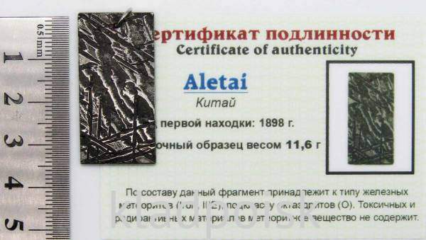 Подвеска из метеорита Aletai