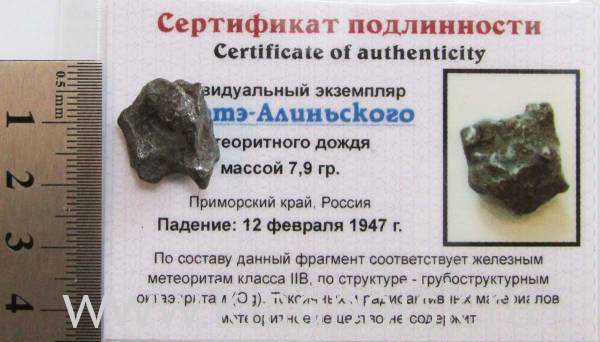 Индивидуальный экземпляр Сихотэ-Алиньского метеоритного дождя (арт 12) Индивидуальный экземпляр Сихотэ-Алиньского метеоритного дождя (арт 12)