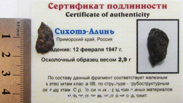 Осколок метеорита Сихотэ-Алинь арт 30