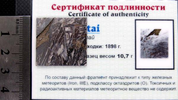 Спил метеорита Aletai