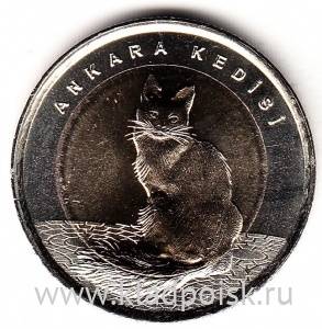 Монета 1 лира Турция – Ангорская кошка, 2015