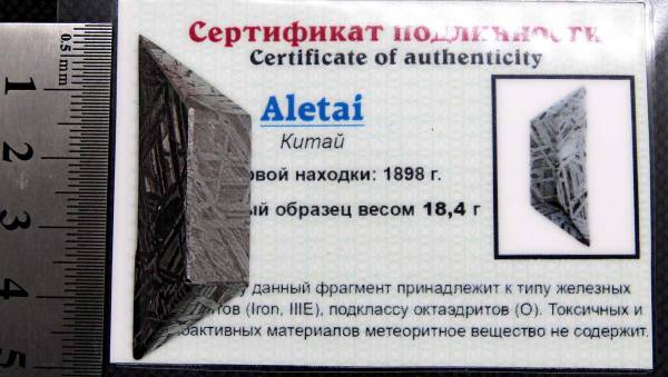 Ограненный осколок метеорита Aletai, арт 13