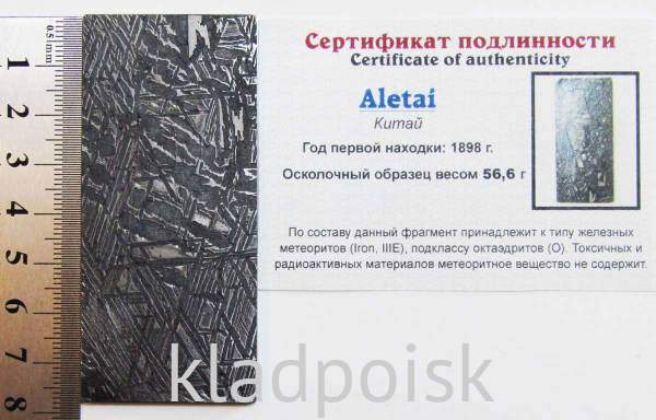 Спил метеорита Aletai, арт 17