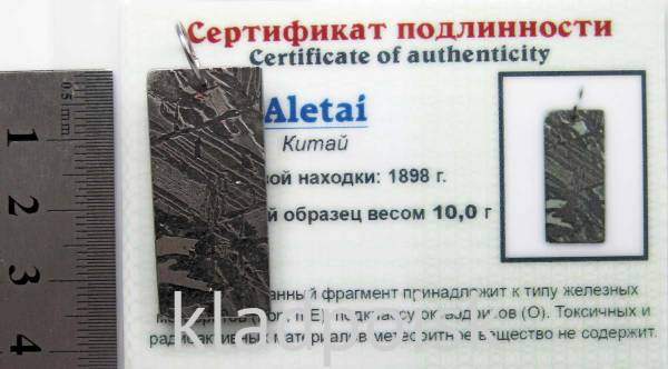 Подвеска из метеорита Aletai, арт 8