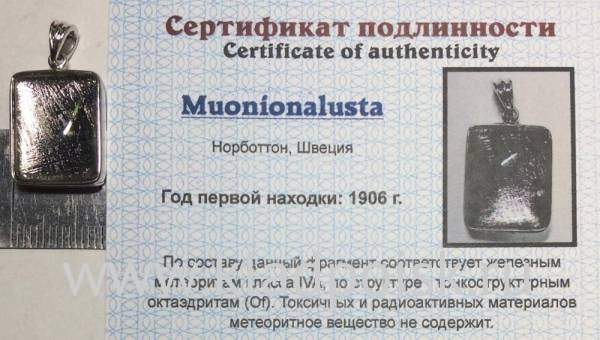 Подвеска из метеорита Муонионалуста (Muonionalusta) с родированием (арт 20)