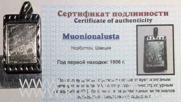 Подвеска из метеорита Муонионалуста (Muonionalusta) оправа из нержавеющей стали (арт 24)