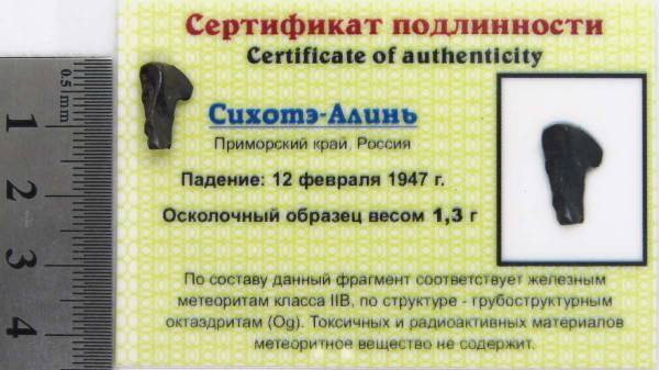 Осколок метеорита Сихотэ-Алинь арт 17