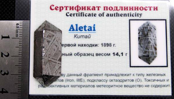 Ограненный осколок метеорита Aletai, арт 14