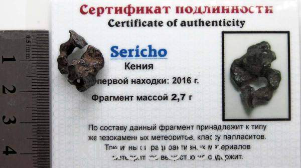 Осколок метеорита Sericho (арт 22) Осколок метеорита Sericho (арт 22)