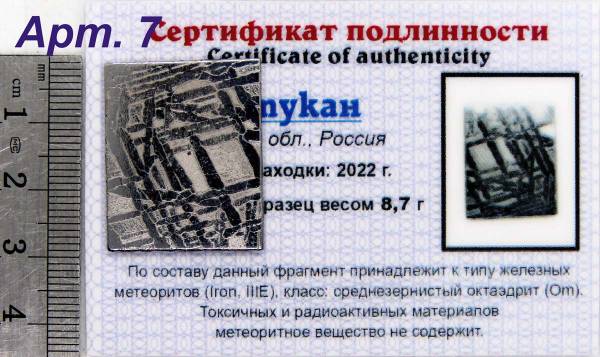 Спил метеорита Оротукан, арт 7 Спил метеорита Оротукан, арт 7