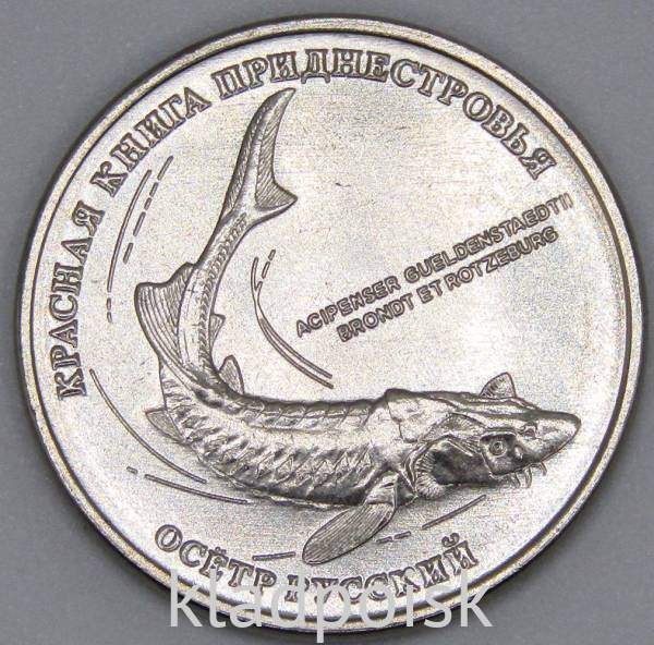 Монета Приднестровье 1 рубль 2018, Осетр русский