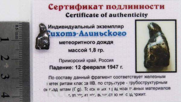 Индивидуальный экземпляр Сихотэ-Алиньского метеоритного дождя