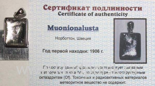 Подвеска из метеорита Муонионалуста (Muonionalusta) с родированием (арт 18)