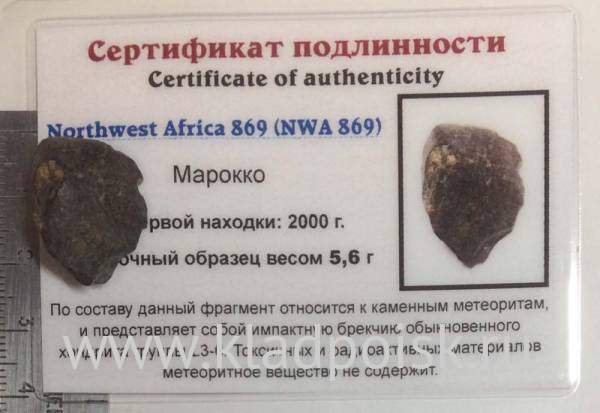 Осколок метеорита NWA 869, арт 6