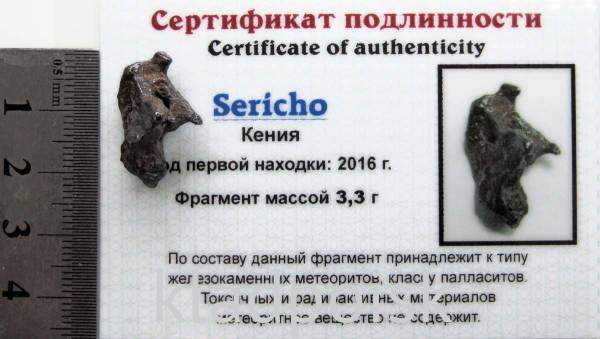 Осколок метеорита Sericho (арт 16) Осколок метеорита Sericho (арт 16)