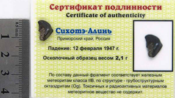 Осколок метеорита Сихотэ-Алинь арт 9