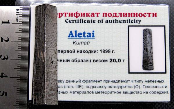 Ограненный осколок метеорита Aletai, арт 12