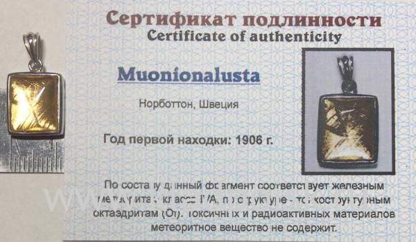 Подвеска из метеорита Муонионалуста (Muonionalusta) с позолотой (арт 2)