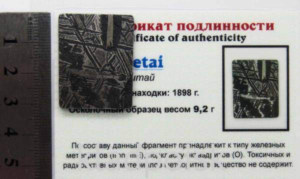 Спил метеорита Aletai, арт 30