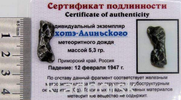 Индивидуальный экземпляр Сихотэ-Алиньского метеоритного дождя (арт 24)