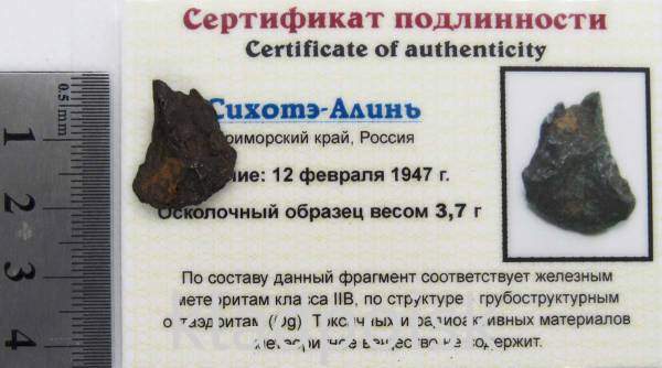 Осколок метеорита Сихотэ-Алинь арт 11