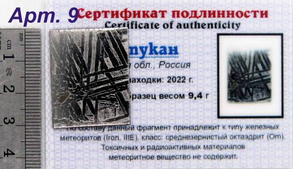 Спил метеорита Оротукан, арт 9 Спил метеорита Оротукан, арт 9