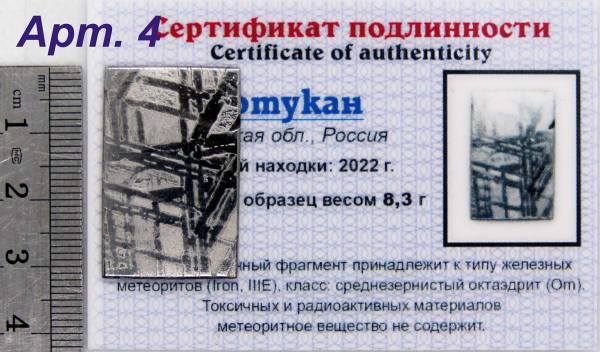 Спил метеорита Оротукан, арт 4 Спил метеорита Оротукан, арт 4