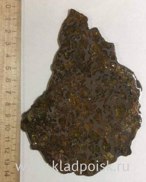 Спил метеорита Imilac арт 9 Спил метеорита Imilac арт 9