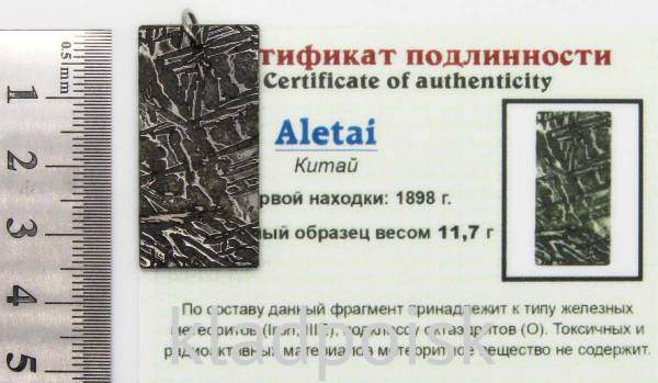 Подвеска из метеорита Aletai