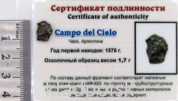Осколок метеорита Campo del Cielo, арт 17