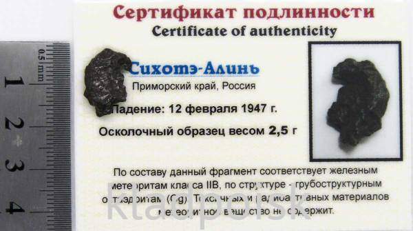 Осколок метеорита Сихотэ-Алинь арт 3