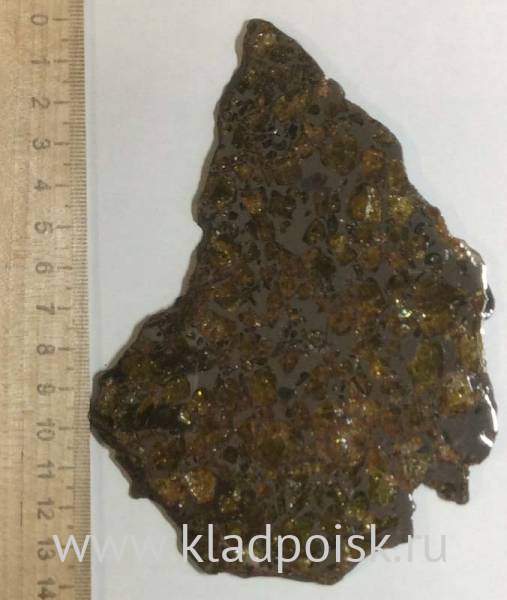 Спил метеорита Imilac арт 8 Спил метеорита Imilac арт 8