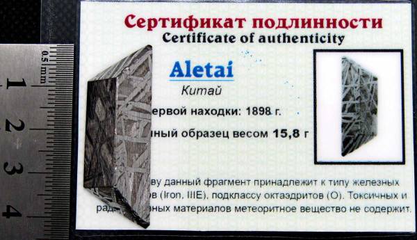 Ограненный осколок метеорита Aletai, арт 8