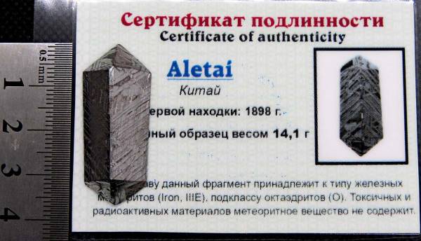 Ограненный осколок метеорита Aletai, арт 6