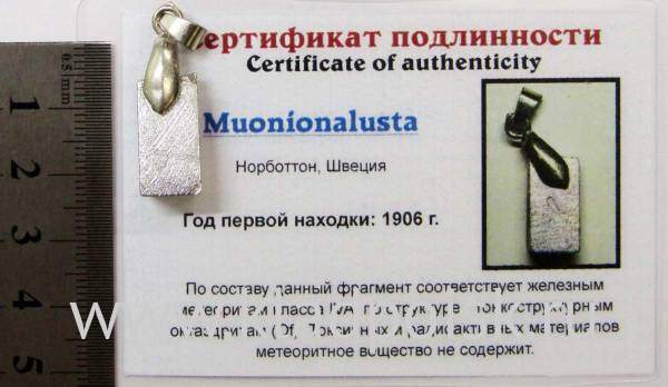 Подвеска из метеорита Муонионалуста (Muonionalusta), арт 17