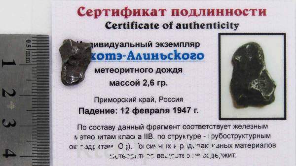 Индивидуальный экземпляр Сихотэ-Алиньского метеоритного дождя