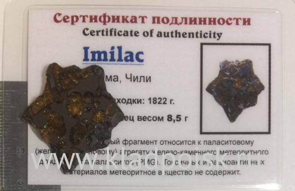 Спил метеорита Imilac арт 1 Спил метеорита Imilac арт 1