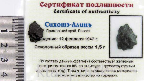Осколок метеорита Сихотэ-Алинь арт 13