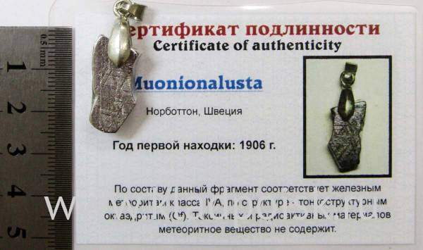 Подвеска из метеорита Муонионалуста (Muonionalusta), арт 19