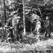 Прокладка телефонных линий связи