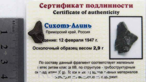 Осколок метеорита Сихотэ-Алинь арт 26