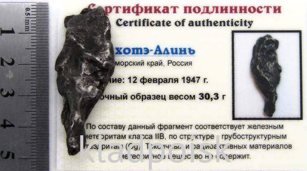 Осколок метеорита Сихотэ-Алинь арт 24