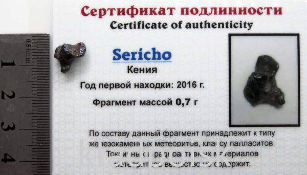 Осколок метеорита Sericho (арт 28) Осколок метеорита Sericho (арт 28)