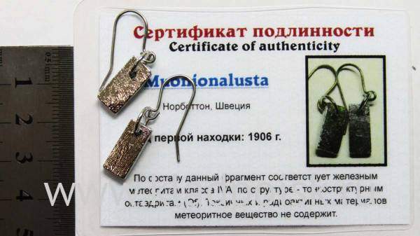 Серьги с метеоритом Муонионалуста (Muonionalusta), арт 8